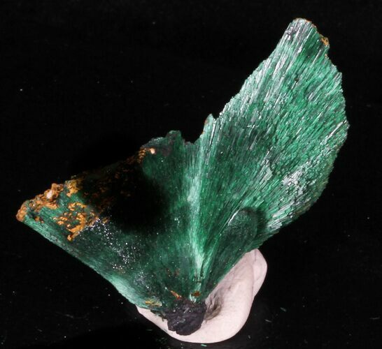 Chatoyant, Fibrous Malachite Crystals - Congo #33800